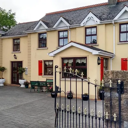 Bed and breakfast Grannagh Castle House *