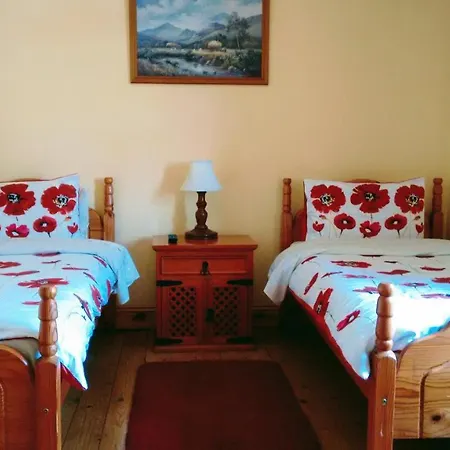 Bed and breakfast Grannagh Castle House