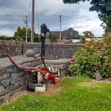Grannagh Castle House 3* Waterford