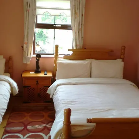 Bed and breakfast Grannagh Castle House