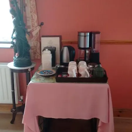 Bed and breakfast Grannagh Castle House