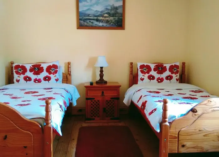 Nocleg ze śniadaniem Grannagh Castle House
