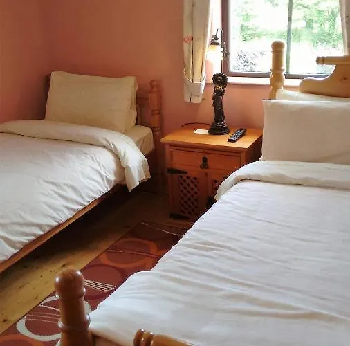 Grannagh Castle House Nocleg ze śniadaniem 3*