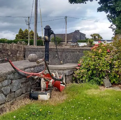 Grannagh Castle House 3* Waterford