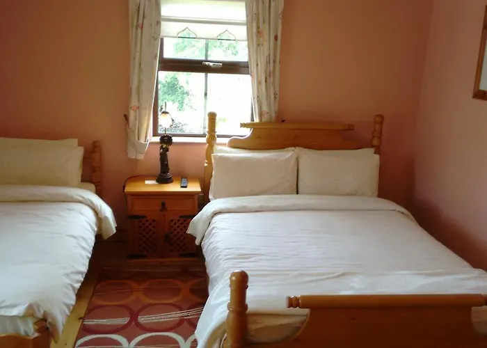 Bed & Breakfast Grannagh Castle House